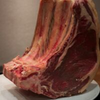wing-rib